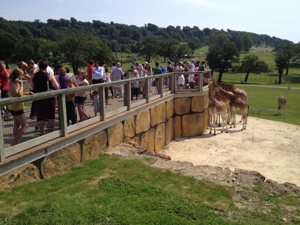 longleat safari park busy times